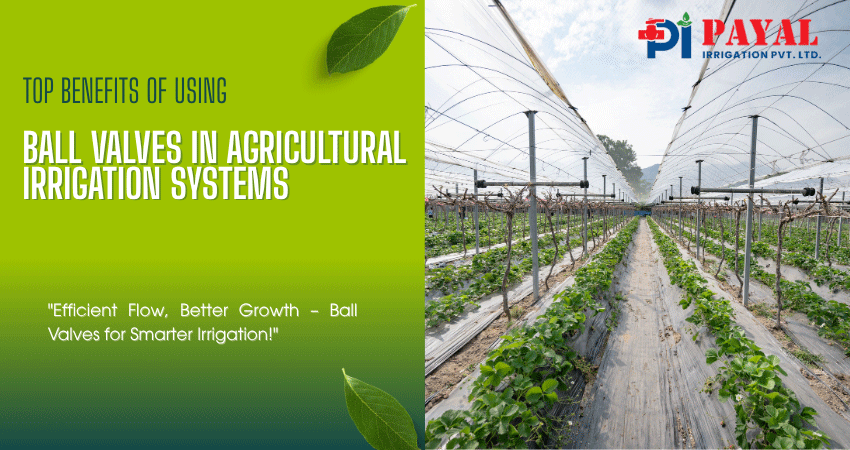 Top Benefits of Using Ball Valves in Agricultural Irrigation Systems